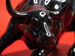 The Rising Bull