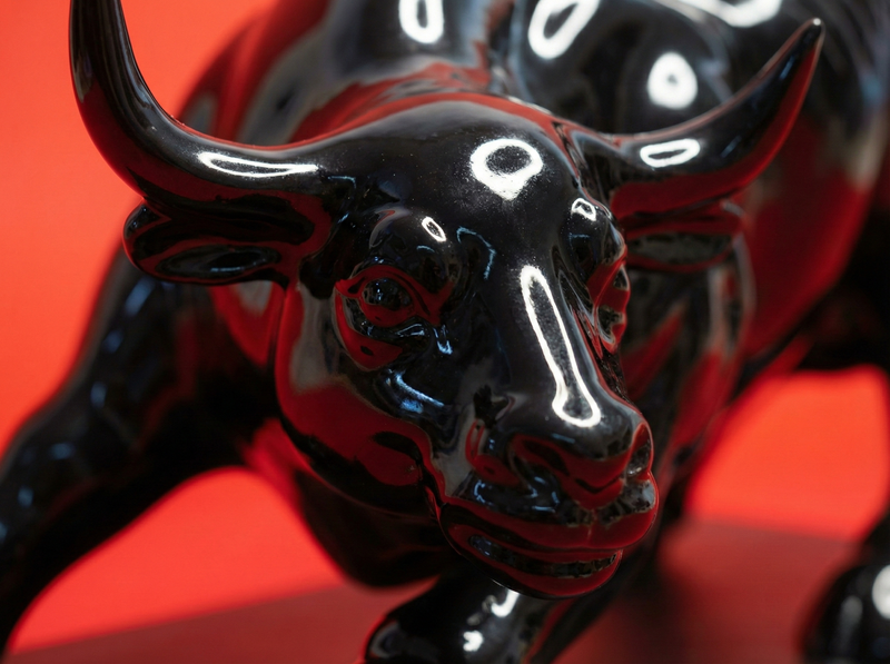 The Rising Bull