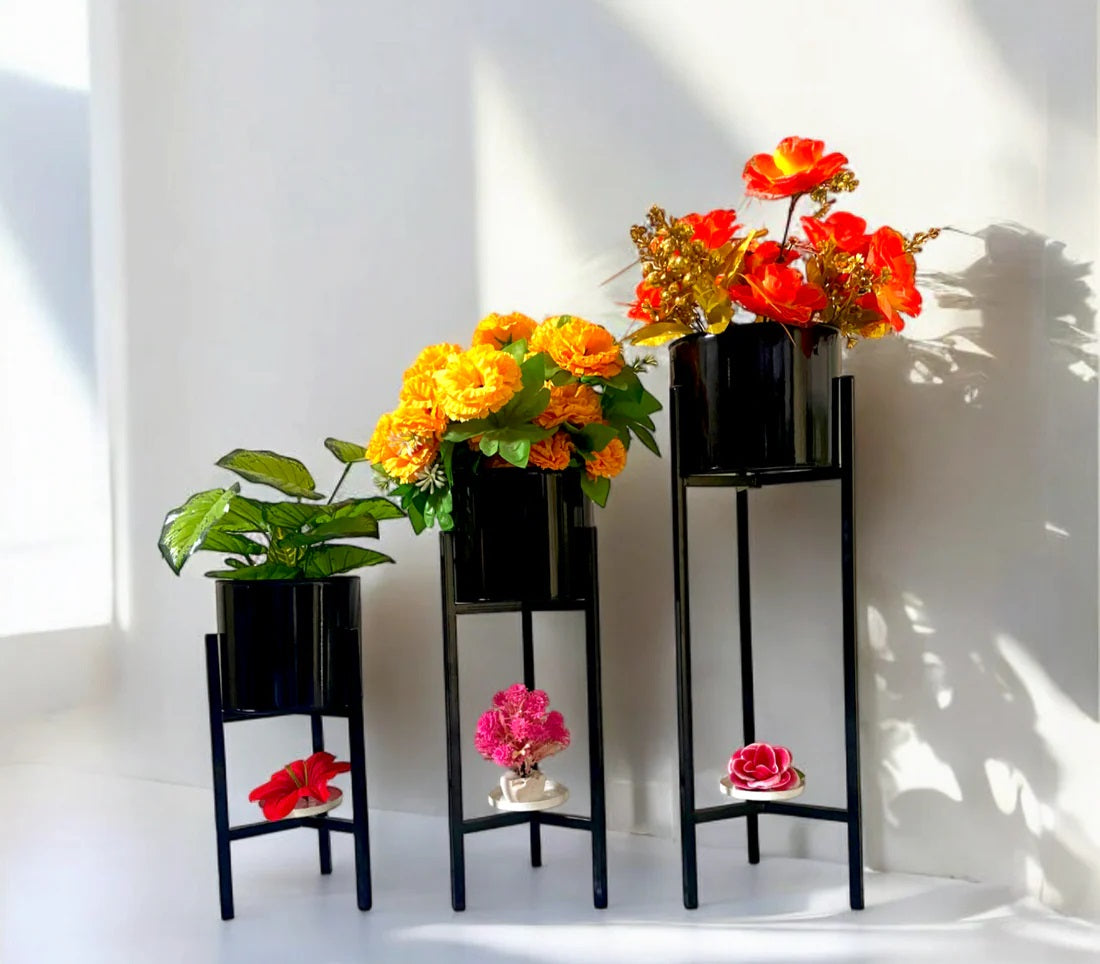 Sleek Black Circle Plant Pedestal