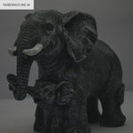Eternal Bond – Elephant Embrace for Peace, Love & Harmony