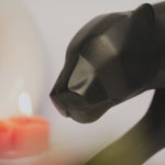 Regal Panther – Aura of Authority
